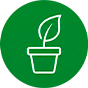 viveiros e Floriculturas